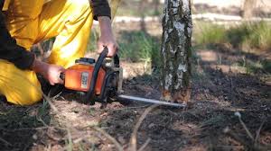 How Our Tree Care Process Works  in Atoka, OK